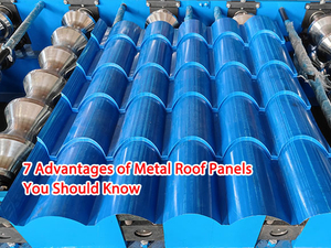 7 Advantages of Metal Roof Panels You Should Know-.jpg